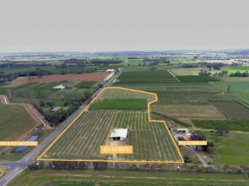 WhatsApp Image 2024-09-30 at 10.15.02 AM