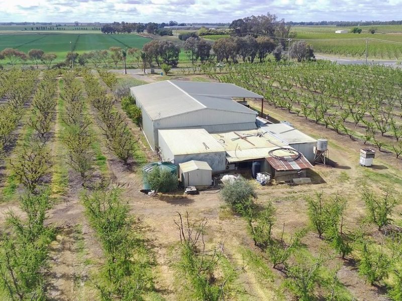 WhatsApp Image 2024-09-30 at 10.15.03 AM (2)