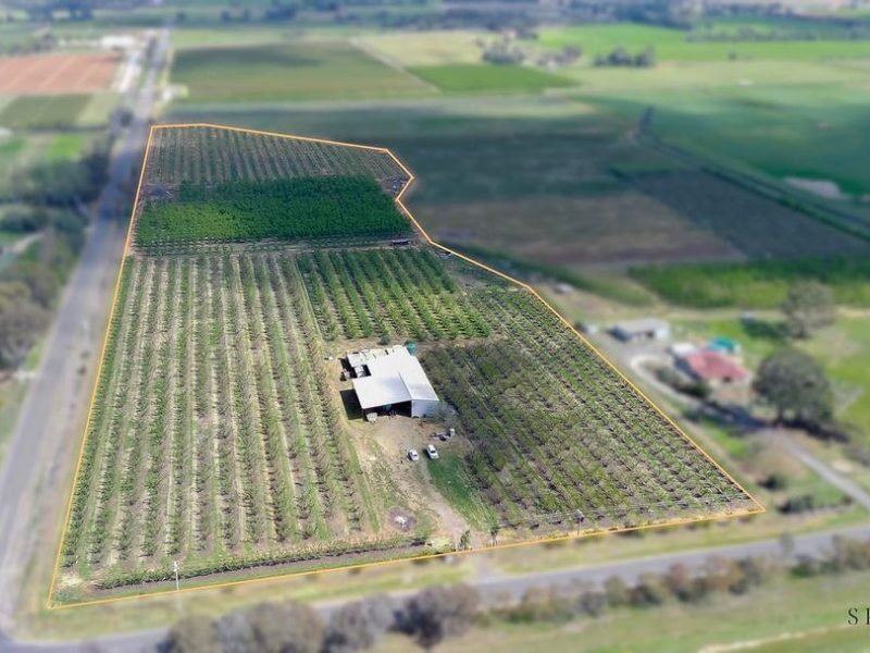 WhatsApp Image 2024-09-30 at 10.15.03 AM