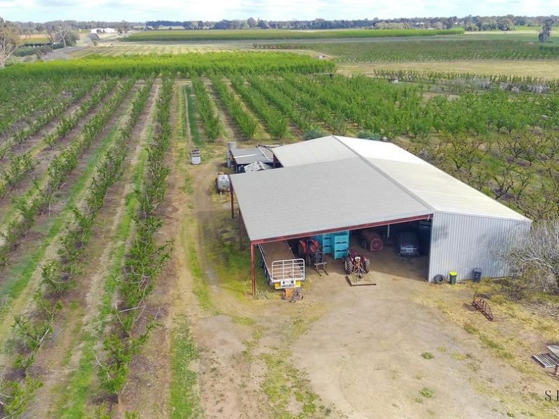 WhatsApp Image 2024-09-30 at 10.15.05 AM (1)