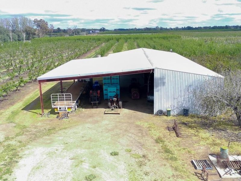 WhatsApp Image 2024-09-30 at 10.15.06 AM