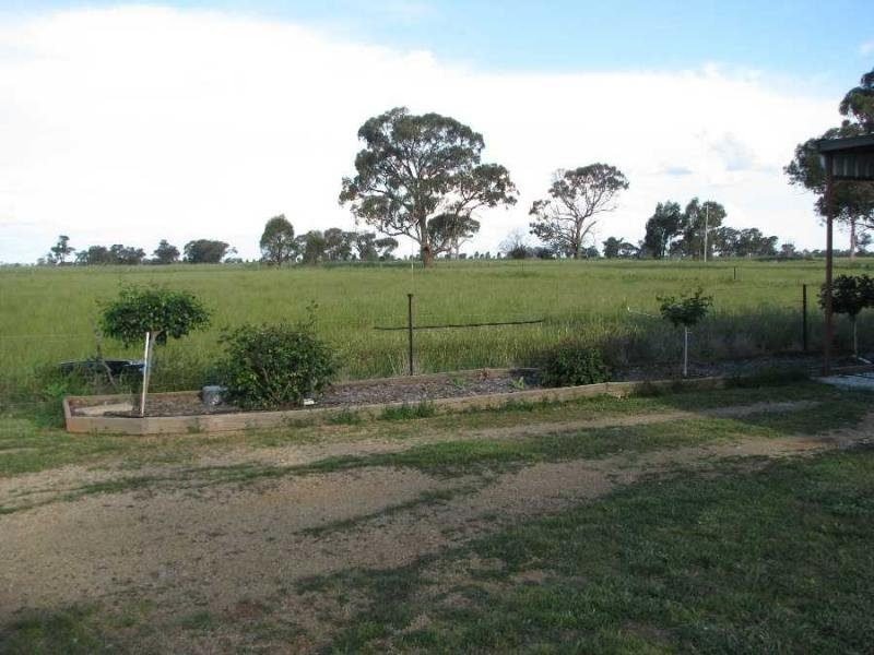 image8
