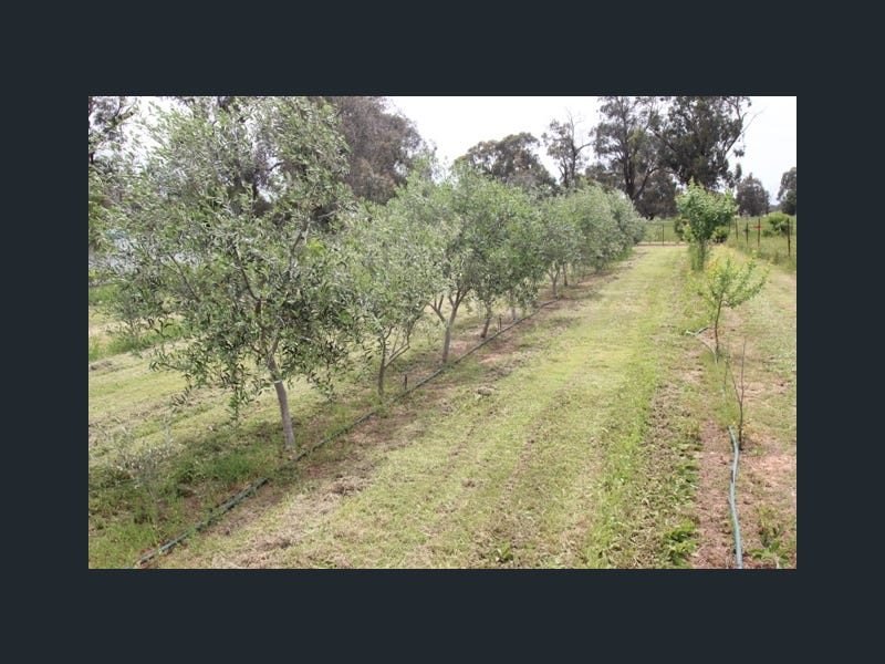 image9